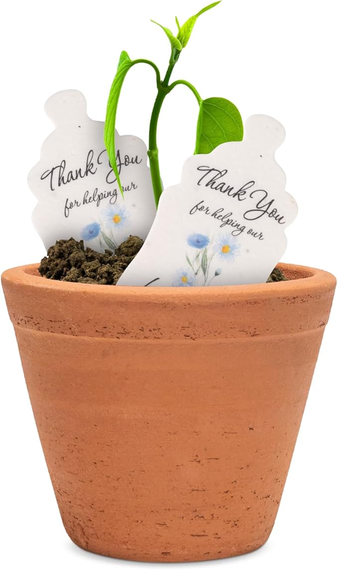 Bottle Shaped Seed Paper – 15Pcs Blue Shower Favors for Guests with Wildflower Seeds, Writable & Plantable, Shower Favor Gifts for Guest