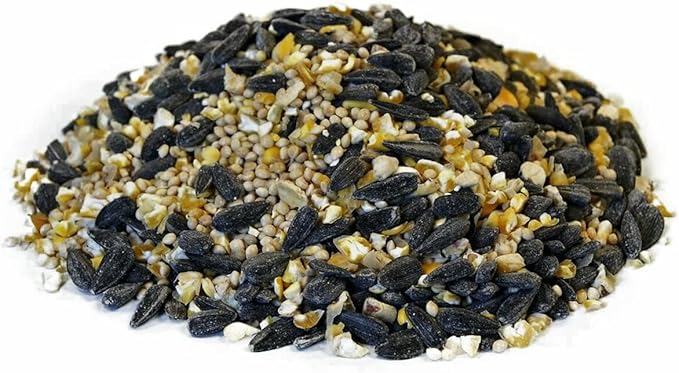 CountryMax Songbird Wild Bird Seed 50 Pounds