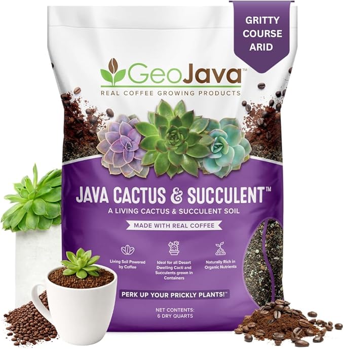Java Cactus & Succulent Soil: A Gritty, Fast‑Draining, Peat-Free, Ready‑to‑Use Potting Mix for Cacti & Succulents -Keeps Roots Well Aerated for Indoor Pots & Plants. USA Made (6QT)