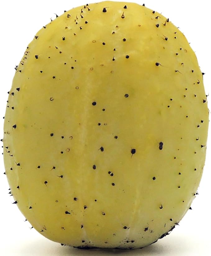 50 Lemon Cucumber Seeds - Heirloom Non-GMO USA Grown Vegetable Seeds for Planting - Baseball Sized Round Cucumber - Cucumis Sativus