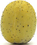 50 Lemon Cucumber Seeds - Heirloom Non-GMO USA Grown Vegetable Seeds for Planting - Baseball Sized Round Cucumber - Cucumis Sativus