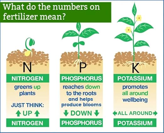 Premium 8-4-8 Professional Palm Tree Fertilizer Plant Food |Indoor Potted Plants and Outdoor Landscape Palm Trees | Quick-Release Nitrogen Fertilizer and Continuous Feeding (4 Quart)