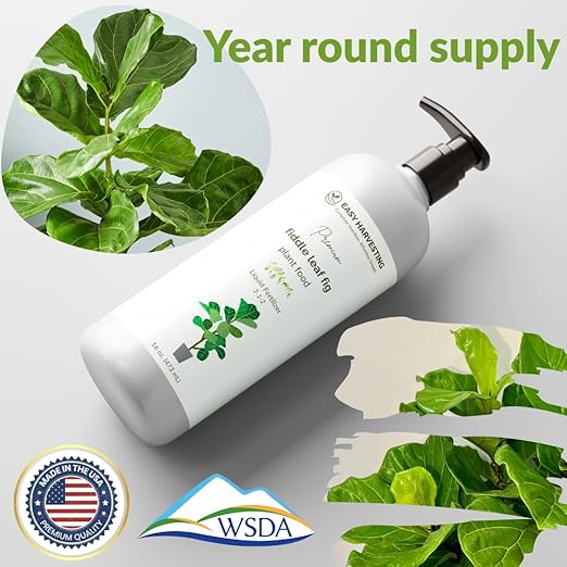 Fiddle Leaf Fig Fertilizer by Easy Harvesting – Premium 3-1-2 Liquid Plant Food | One Bottle Makes 118 Gallons | Pet Safe, Gentle Formula for Indoor Houseplants (16oz Pump Bottle)