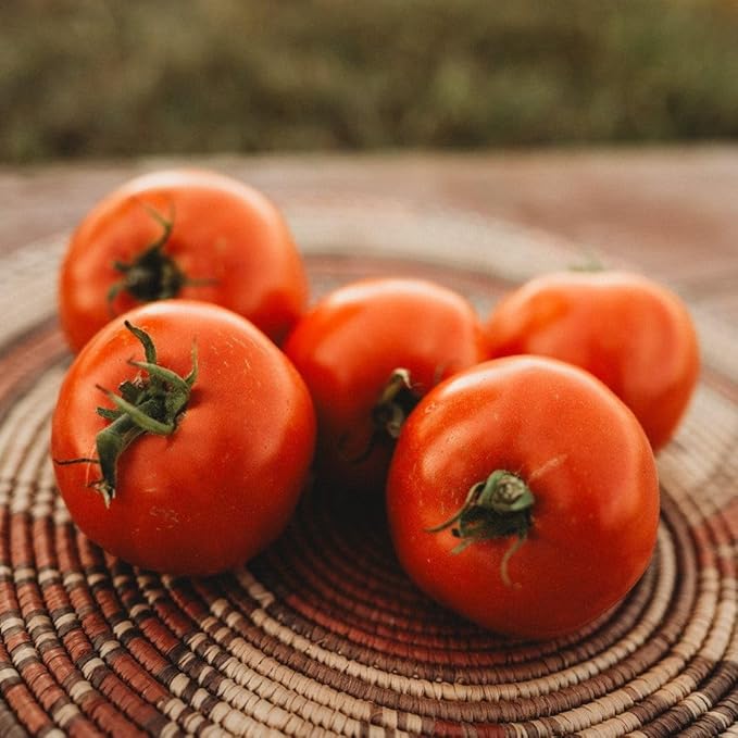 Super Sioux Tomato - 50 Seeds - Delicious, Old-Fashioned Flavor, an Ideal Tomato for Canning, Non-GMO Heirloom Tomato Seeds for Planting in The Home Garden, Thresh Seed Company