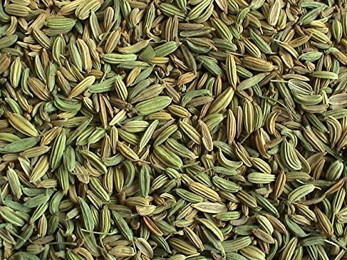 Fennel (Florence Fennel) Herb Seed 500 Seeds Heirloom Organic, Easy to Grow