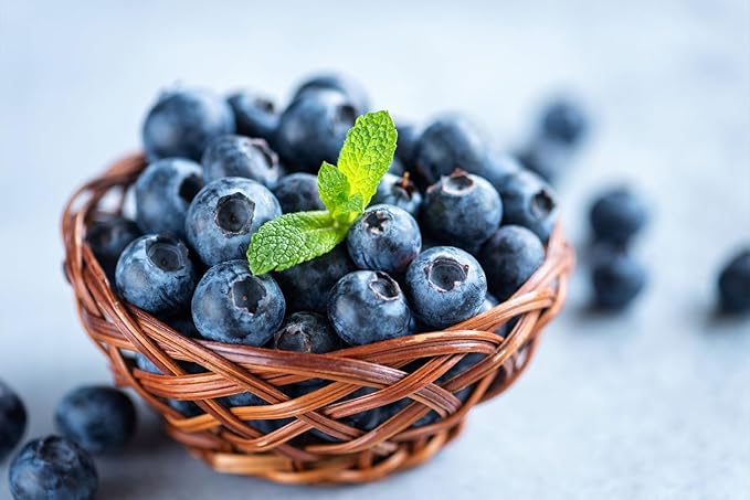1200+ Mix Fruit Seeds Berry Seeds for Planting (9 Varieties) Heirloom Strawberry Raspberry Mulberry Apple Orange Blueberry Lemon Elderberry Cherry Seed for Home Garden