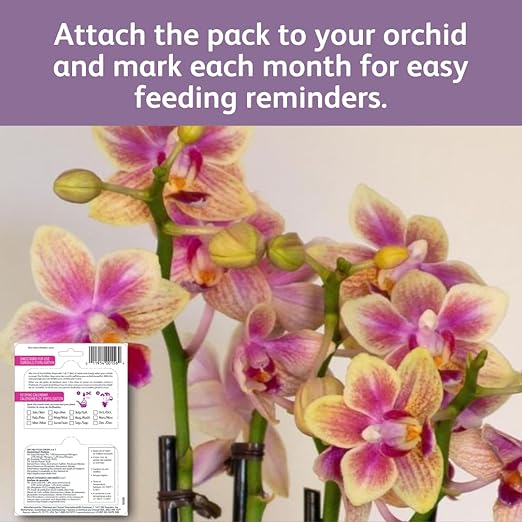 Chrysal Orchid Food Drops — Orchid Care — One Pack for a Year Supply — Concentrated Flower Food for All Species of Orchids — Ideal Florist Supplies — Outdoor and Indoor Plant Food (2 Pack)