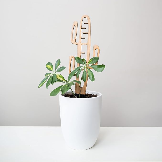 Treleaf Bare™ Cactrella™ – Customizable Wooden Barrel Cactus Leaf Plant Trellis – Regular Size 12” Indoor Plant Support and Decorative Houseplant Stake for Potted Vines and Climbing Plants