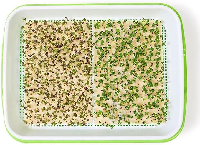 Park Seed Easy DIY Planting Sow Effortless Collection Seed Mats, Microgreens Kit