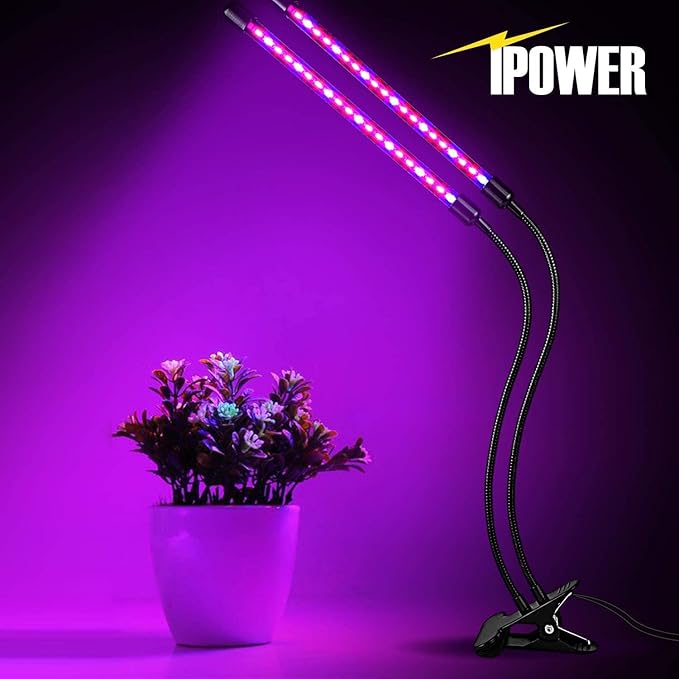 iPower Red&Blue Spectrum LED Grow Light with Adjustable Gooseneck, Auto ON/Off 3/9/12H Timing, 11 Dimmable Levels for Indoor Plant