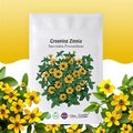 Creeping Zinnia - Sanvitalia Procumbens - 1000 Seeds - Bright Colors, Heirloom, Non-GMO, USA Grown, Excellent for Pollinators, Annual - Vibrant Flowers for Any Home Garden