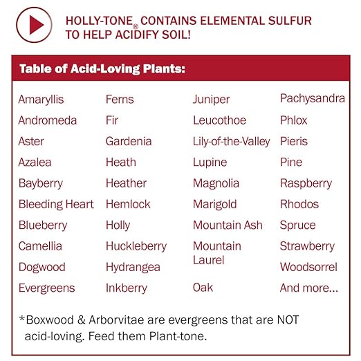 Espoma Organic Holly-Tone Parent (2)