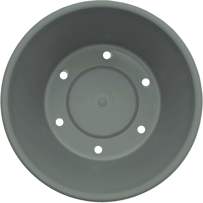 Bloem Terra 6" Diameter Round Basil Resin Planter Pot with Drainage Holes for Indoor and Outdoor Gardening