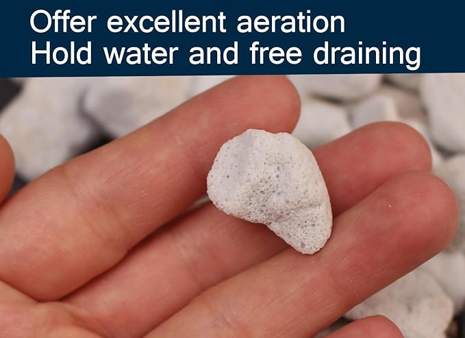 20 QT Professional Grade Horticultural Organic Perlite (20 QT, Large Size - Perlite)