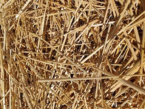Green Stripe Organic Matter Garden Straw (5lb) Straw Mulch for Gardens, Yard Landscaping, New Lawn Grass Seed, Tomato & Vegetable Compost & Fertilizer | Covers up to 75 sq ft. Farmer Direct