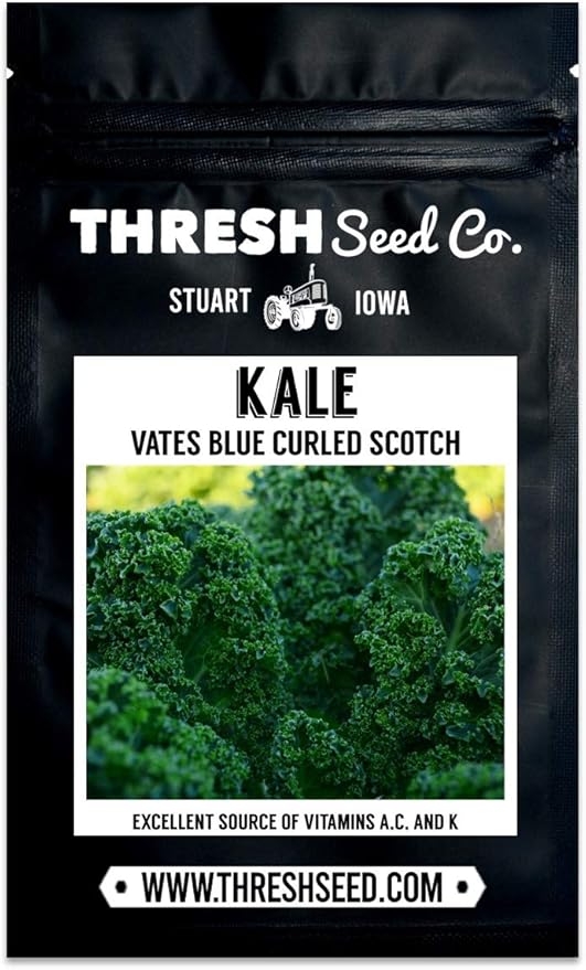 Vates Blue Curled Scotch Kale - 100 Seeds - Heirloom & Open-Pollinated Variety, non-GMO Vegetable, Leafy Greens Seeds for Planting Indoors/Outdoors in Containers/Aerogarden/Garden, Thresh Seed Company