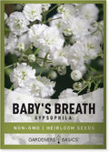 Gardeners Basics, Baby's Breath Seeds for Planting Gpsophila - Beautiful Annual Cut Flower for Flower Arrangements and Beautiful in Flower Beds in Summer Gardens Too