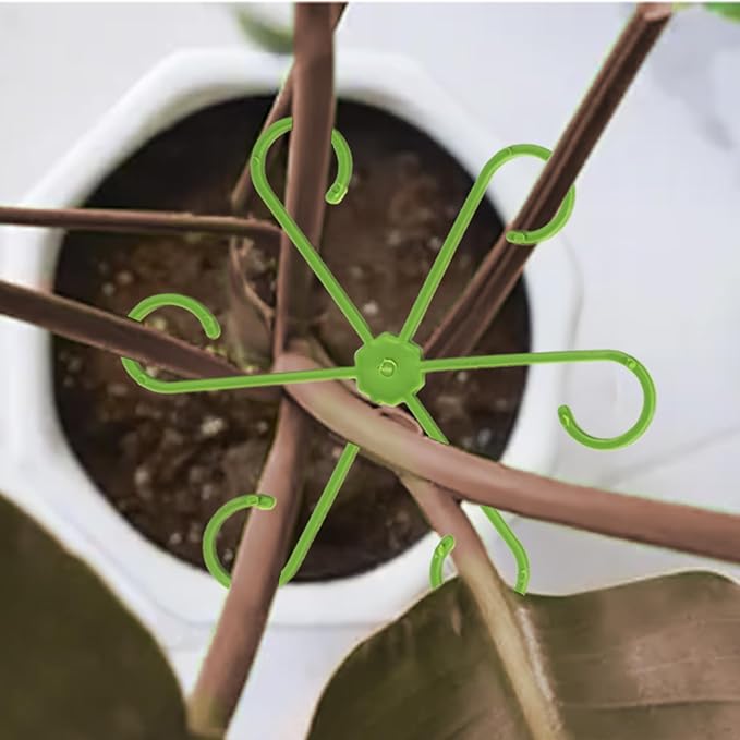 Plant Stem Support, Plant Support for Indoor Plants, 4 Sizes Climbing Houseplant Stem Supports, Plant Support Rings, Leaf Holders, Indoor Plant Stakes Stabilizer Accessories (32, Green)
