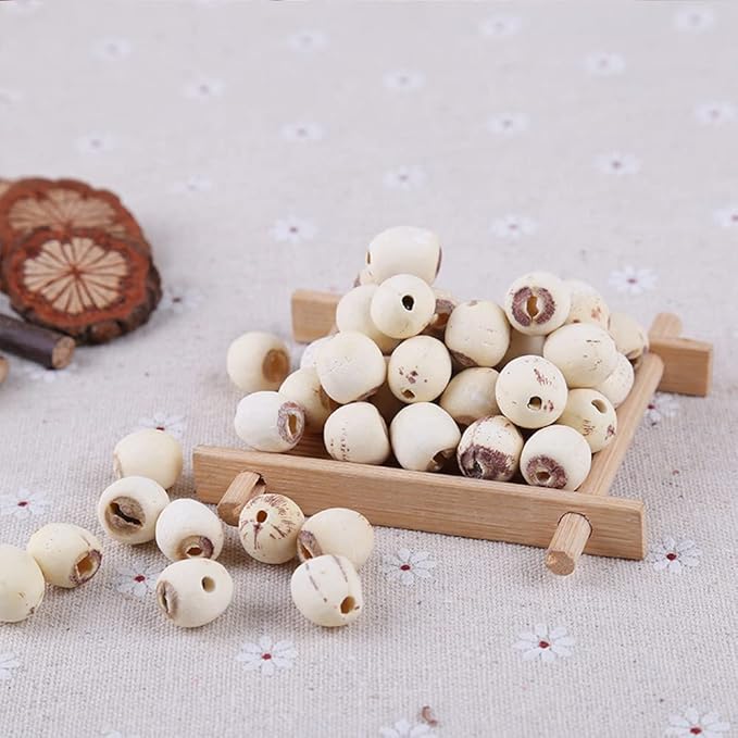 Lotus Seed;Lotus Seed pod;Lotus nut;Lotus Seeds Organic;Lotus Seeds for Cooking;Semen Nelumbinis,Lotus Semen for Health Care Food,Lian Zi for Beauty,Lotus Nut (250 g(0.55 Pound))