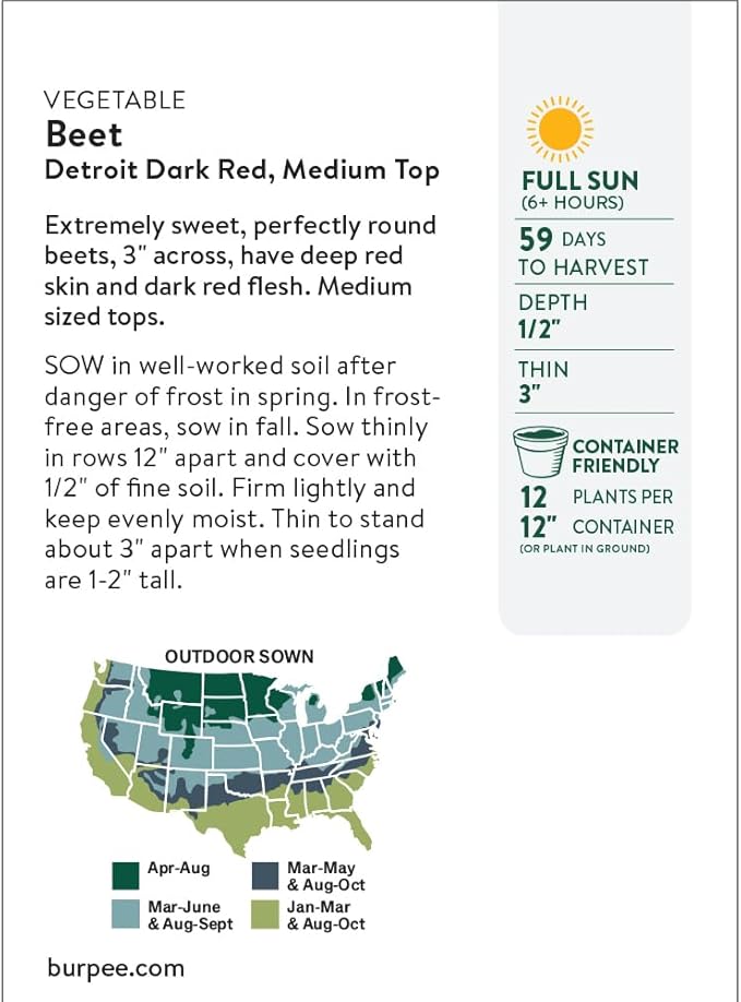 Burpee Organic Detroit Dark Red Beet Seeds - Dual-Purpose Root and Greens