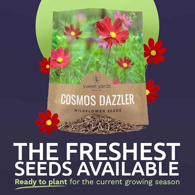 Dazzler Cosmos Wildflower Seeds - Extra Large 1 Ounce Packet - Over 5,000 Fresh Open Pollinated Non-GMO Flower Seeds - Stunning Bright Petals - Drought Tollerant