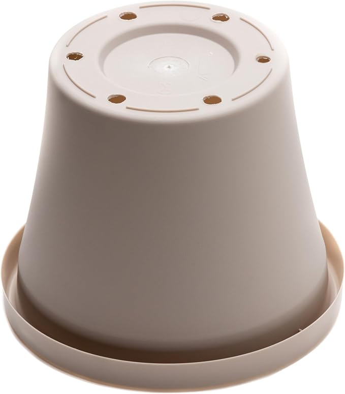 Bloem Terra 8" Diameter Round Pebble Stone Resin Planter Pot with Drainage Holes for Indoor and Outdoor Gardening