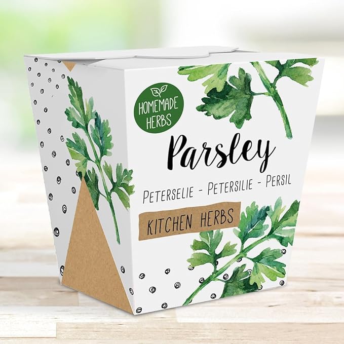 Homemade Herb Kit – All-in-One Kitchen Parsley – Indoor Garden Planter - Grow Your own Edible Herbs – Live Seeds Ready to Plant – Pleasantly Scented