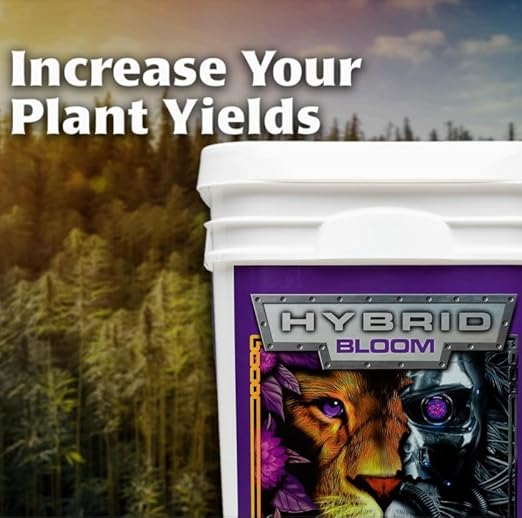 Pride Lands Hybrid Bloom 2lb