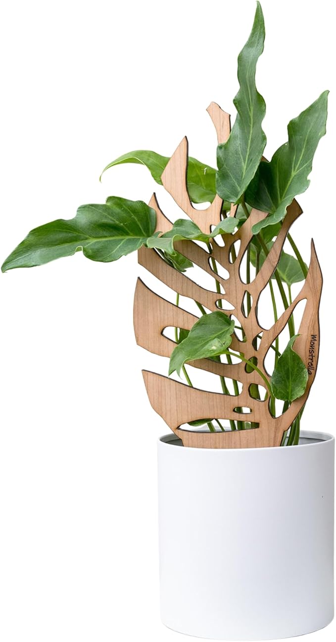 Treleaf Bare™ Monstrella™ – Customizable Wooden Monstera Leaf Plant Trellis – Regular Size 12” Indoor Plant Support and Decorative Houseplant Stake for Potted Climbing Plants