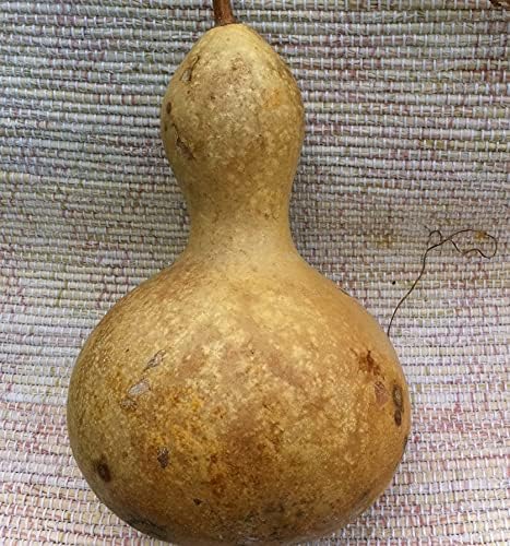Seeds Calabash Bottle Gourd Mix Lagenaria Heirloom Vegetable for Planting Non GMO