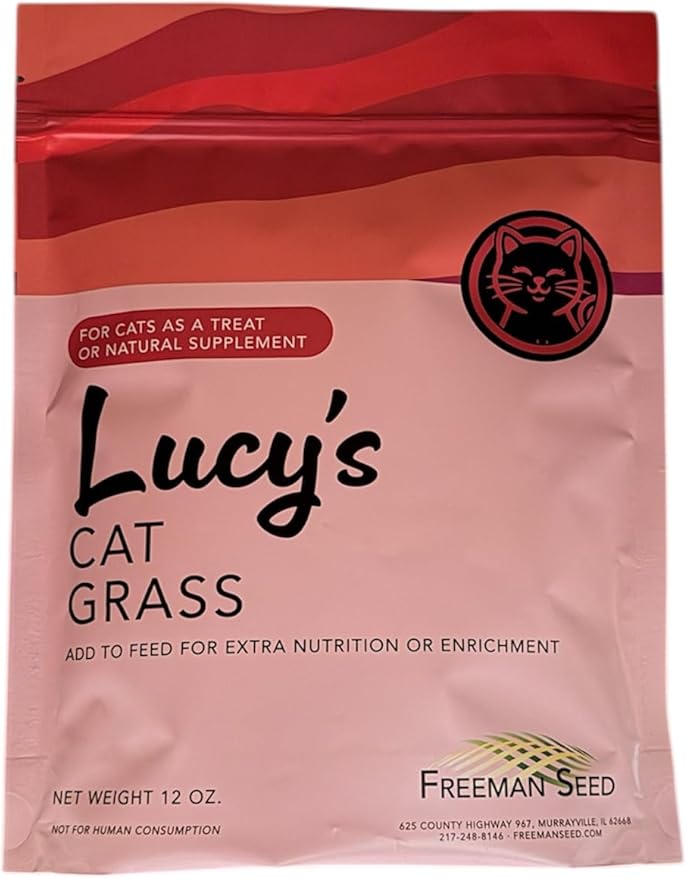 Cat Grass Seeds for Indoor Cats – Non-GMO Oats & Rye Sprouting Seed Mix | Easy to Grow Fresh Cat Grass for Digestion & Hairball Support | High Germination (1 lb)