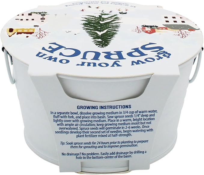 BUZZY Seeds Grow Your Own Christmas Tree Kit, Spruce Seed Starter Mini Basin in White with Coconut Husk Growing Medium, and Easy Instructions. DIY Gardening Gift, Stocking Stuffers for Nature Lovers