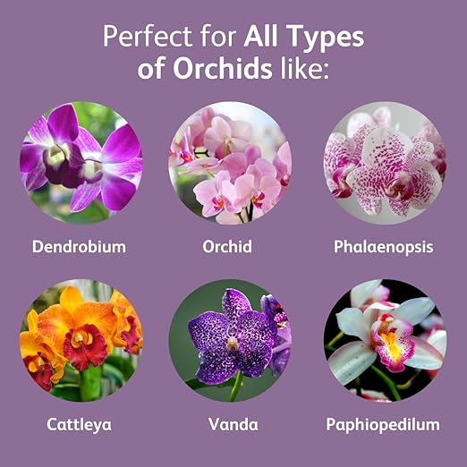 Chrysal Orchid Food Drops — Orchid Care — One Pack for a Year Supply — Concentrated Flower Food for All Species of Orchids — Ideal Florist Supplies — Outdoor and Indoor Plant Food (3 Pack)