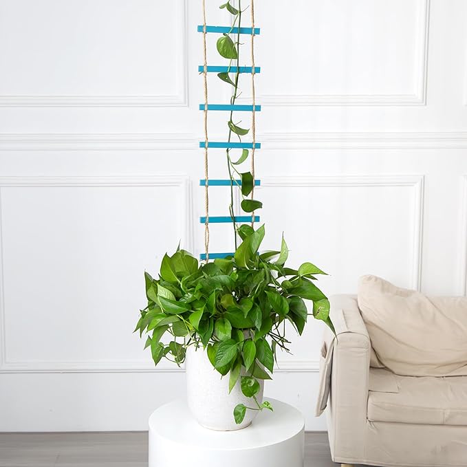 Blue Chain Trellis for Climbing Plants Indoor - Durable Natural Wood Design for Pothos and Ivy Support - Decorative Decorative Wall Feature for Home and Garden