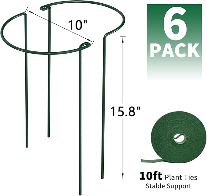AMAGABELI GARDEN & HOME 6 Pack Plant Support Stakes Metal Peony Cage Heavy Duty Half Round Garden Support Structures Plant Cage with Ties for Indoor Flower Tomato Hydrangea Monstera (10" W x 15.8" H)