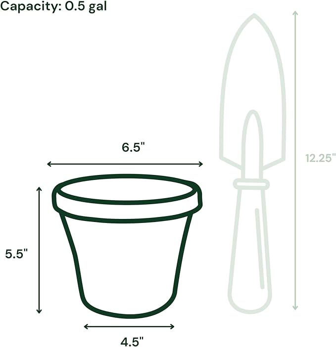 Bloem Terra 6" Diameter Round Basil Resin Planter Pot with Drainage Holes for Indoor and Outdoor Gardening