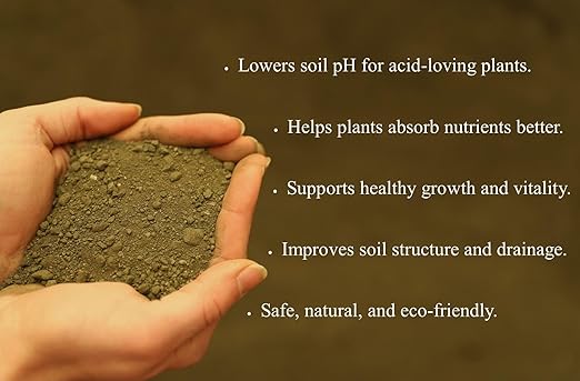 Greensand 5 Pounds – Natural Fertilizer for Healthy Soil, Rich in Potassium & Iron, Great for Gardens, Lawns & Growing - Lancaster Agriculture Products