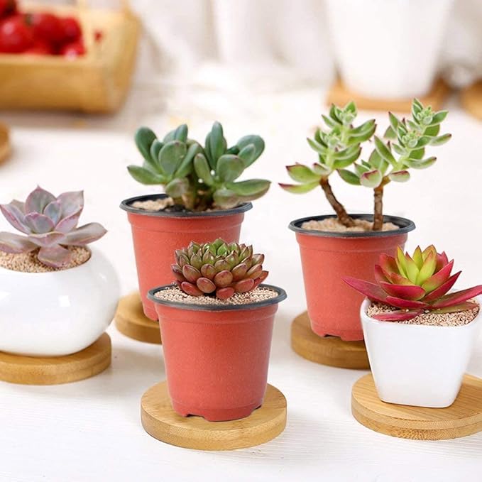 Baaxxango 100 Pcs 3.5 Inch Plastic Seedlings Plants,Nursery Pots,Seed Starting Pot for Succulents, Seedlings, Cuttings, Transplanting