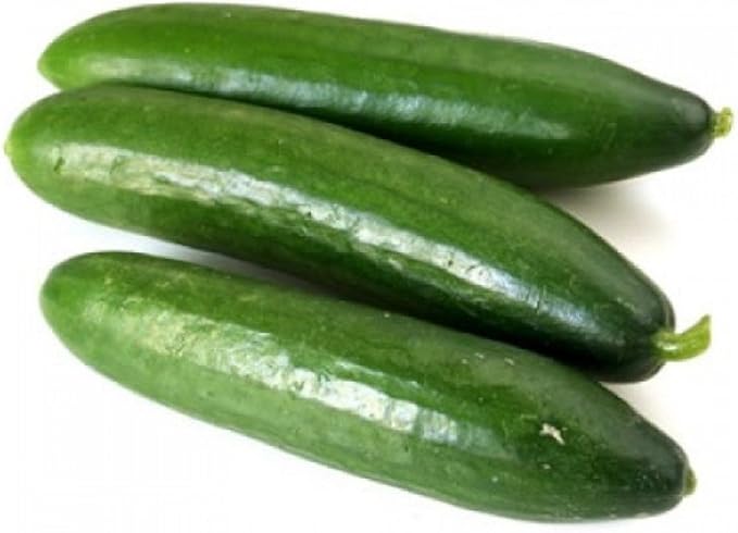 CEMEHA SEEDS Cucumber Emilia F1 Long Giant Vine Self-pollinated Vegetable Hybrid Non-GMO for Planting