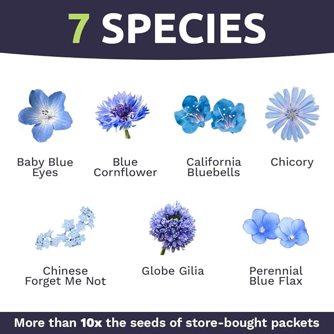 All Blues Wildflower Seeds Mix - Large 1 Ounce Packet - Over 7,500 Annual and Perennial Flower Seeds