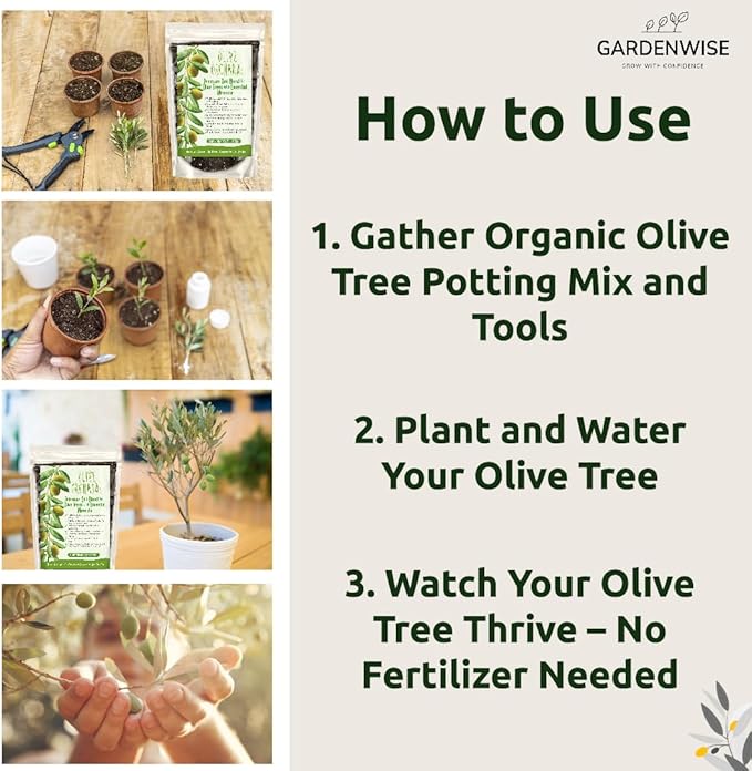 GARDENWISE Organic Olive Tree Potting Mix – Fast-Draining, Nutrient-Rich Soil for Indoor & Outdoor Olive Trees – Mediterranean Plant Care – Long-Lasting Formula (2 QUARTS)
