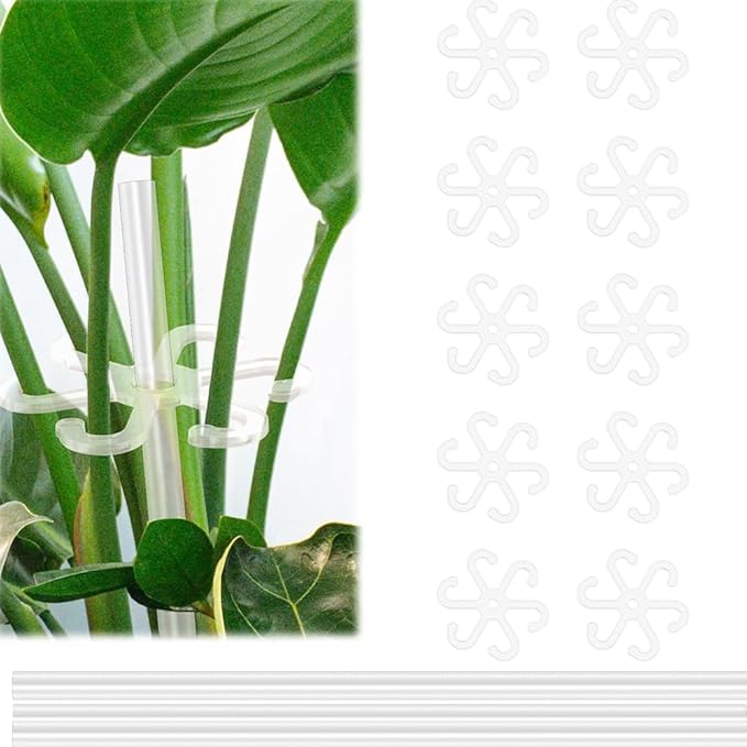 10pcs Acrylic Plant Climbers Stem Sticks Holders, Reusable Plant Growth Accessories Stakes for Growing Plants, Plant Support Structures