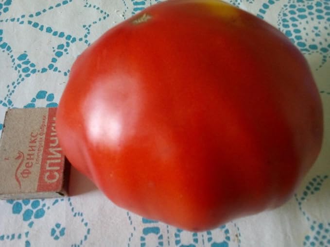 Seeds Red Giant Beefsteak Tomato - Heirloom Vegetable - GMO Free