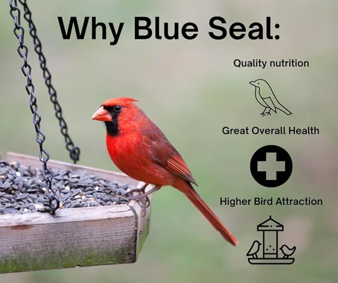 Blue Seal Woodpecker Mix Wild Bird Seed | Premium Blend of Nuts, Sunflower Seeds, and Fruit | Attracts Wide Variety of Wild Outside Birds | Convenient Shell-Free Mix | Made in USA | 8 Pound Bag