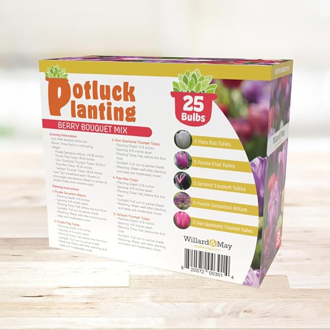All-in-One Flower Garden Kit - 25 Flower Bulbs Per Box - Potluck Planting Berry Bouquet Mix - Allium and Tulip Mix - Fragrant - Naturalizing - Live Outdoor Garden - Easy to Plant Flowers