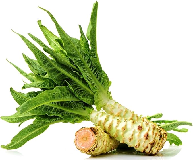 Seeds Asparagus Lettuce Uysun for Salad Non GMO Vegetable for Planting 1000 Seeds