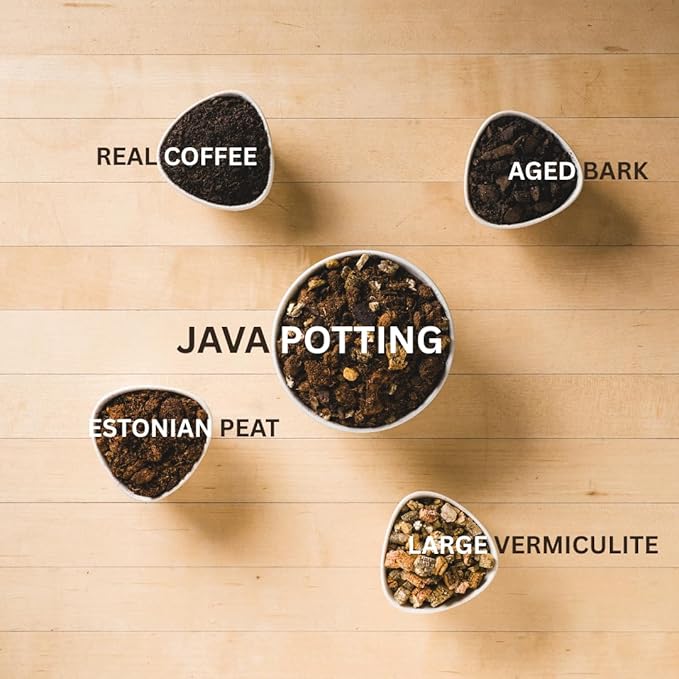 Java Potting Soil: A Chunky, Coffee‑Infused Living Potting Mix for Aroids, Monstera, Calathea, Tropical and Indoor Plants. Airy & Light with Excellent Drainage & Aeration. USA Made (6 QT)
