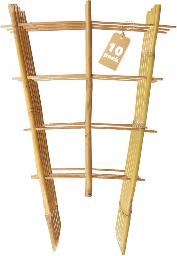 Bamboo Trellis 10 Pack, 48 Inches/4FT S3 Natural Bamboo Plant Fan Stakes, Fan-Shaped Plant Support Stand for Orchid Vines, Monarchs, Ivy and Other Plants Climbing, Help Plant Growth