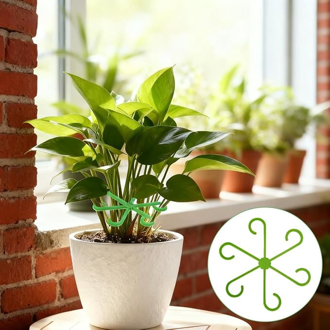 16 Pcs Plant Stem Support, 4 Sizes Climbing Houseplant Stem Support Stakes for Indoor Plants, Reusable Plastic Flower Plant Stabilizer, Plants Leaf Holders Hook for Growing Tomatoes, Orchids, Peonies