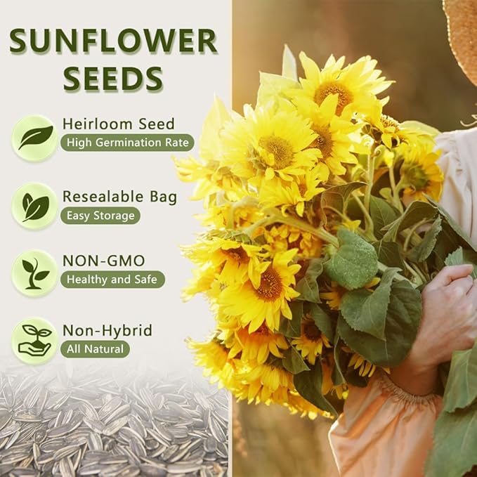 1000+ Sunflower Seeds for Planting Heirloom Non-GMO, Bulk Package of 15 Varieties Mix Seeds, Individually Packaged, Attracts Pollinators (Helianthus annuus)